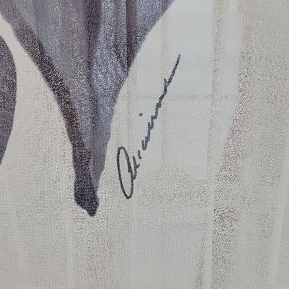 Romana LaRue by Arianne sheer kimono wrap beige & brown Women's Size OS - Picture 8 of 13